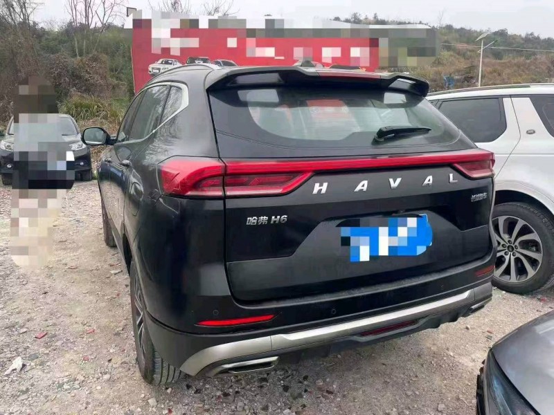 娄底24年哈弗H65