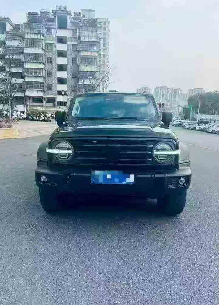 九江24年长城汽车坦克1