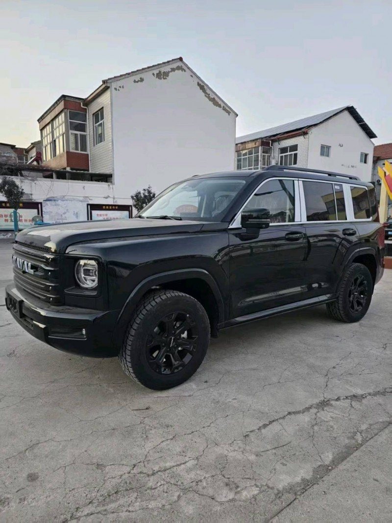 新乡25年哈弗H94