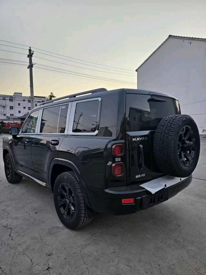 新乡25年哈弗H95