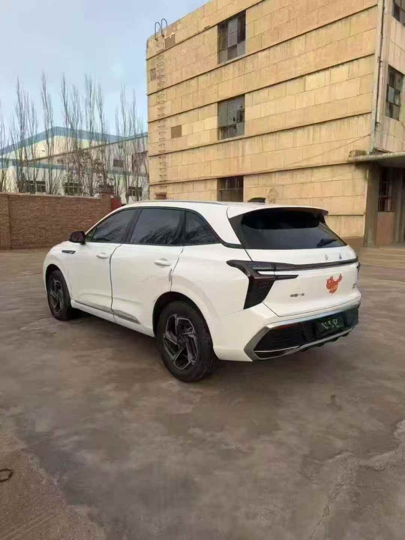 东营23年红旗HS39