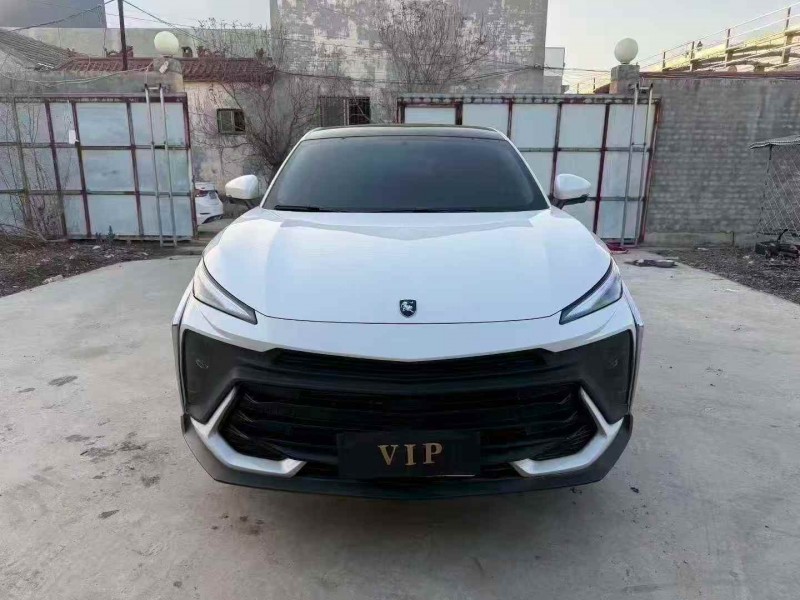 烟台24年东风风行1