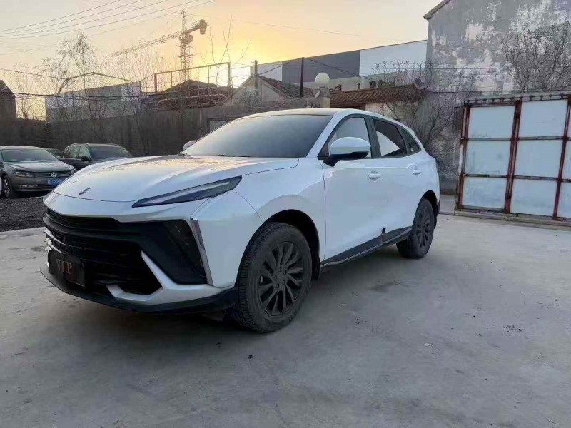 烟台24年东风风行2