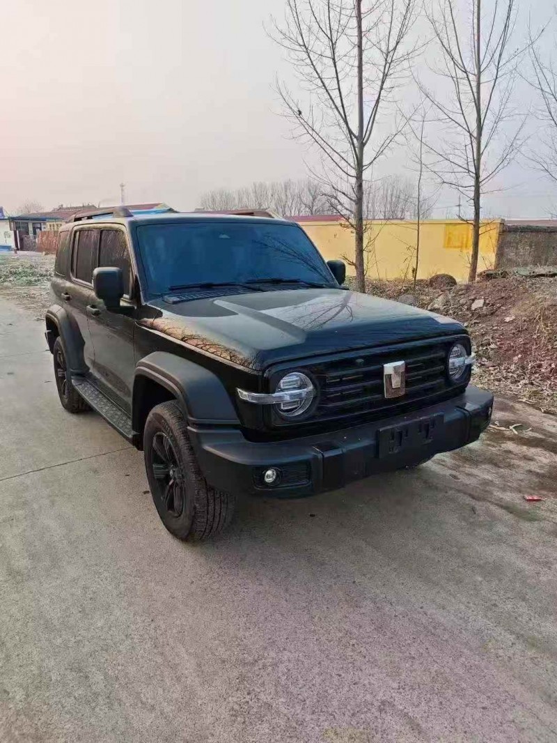 枣庄25年长城汽车坦克2