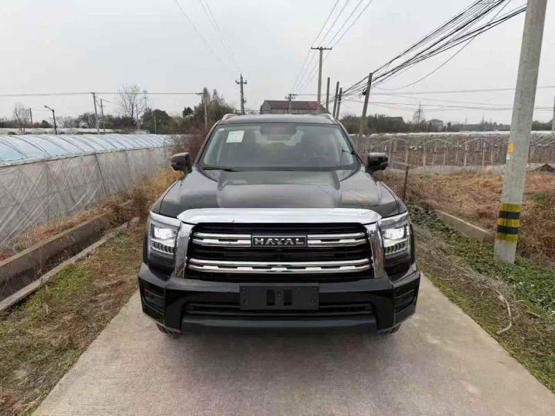 湖州25年哈弗大狗1