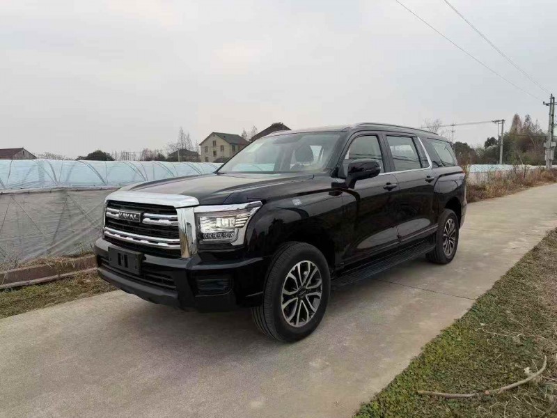 湖州25年哈弗大狗3