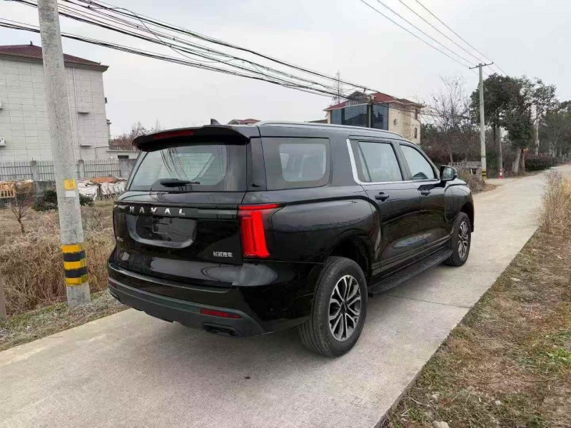 湖州25年哈弗大狗9