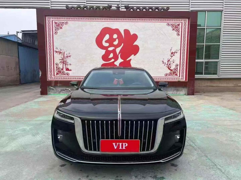 枣庄21年红旗H91