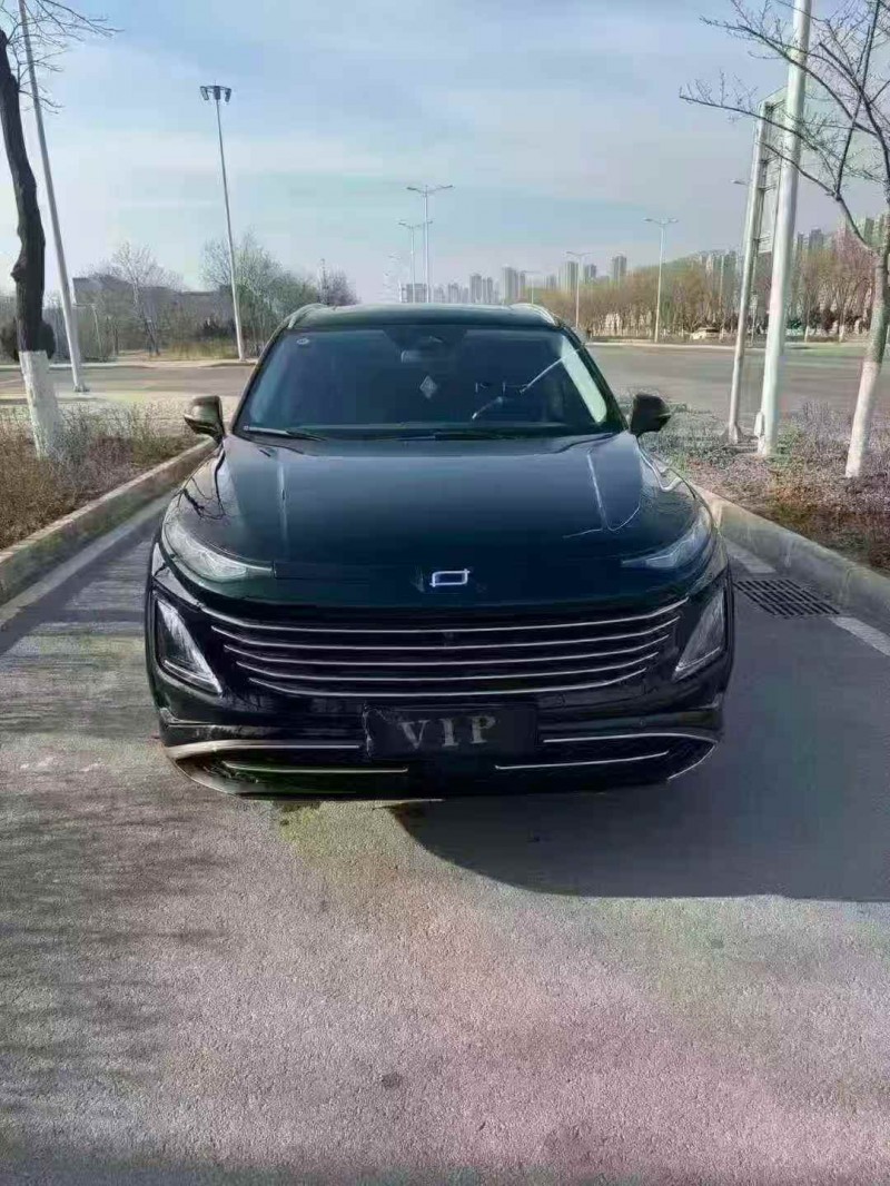 白银24年奔腾T901