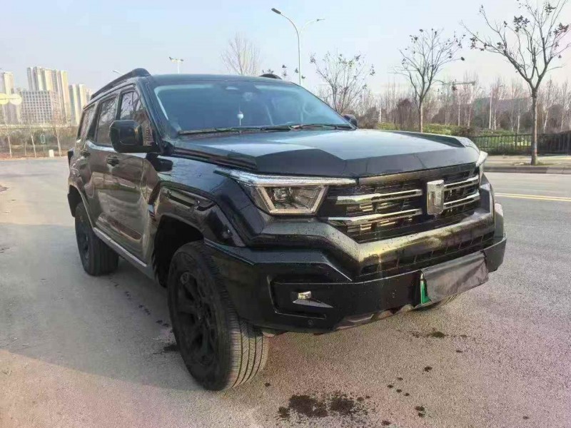 烟台24年长城汽车坦克2