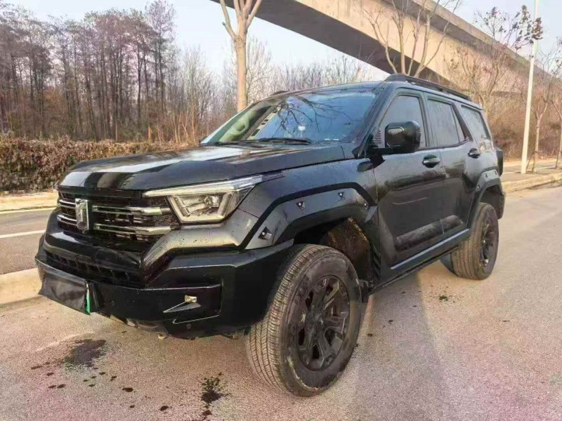 烟台24年长城汽车坦克3