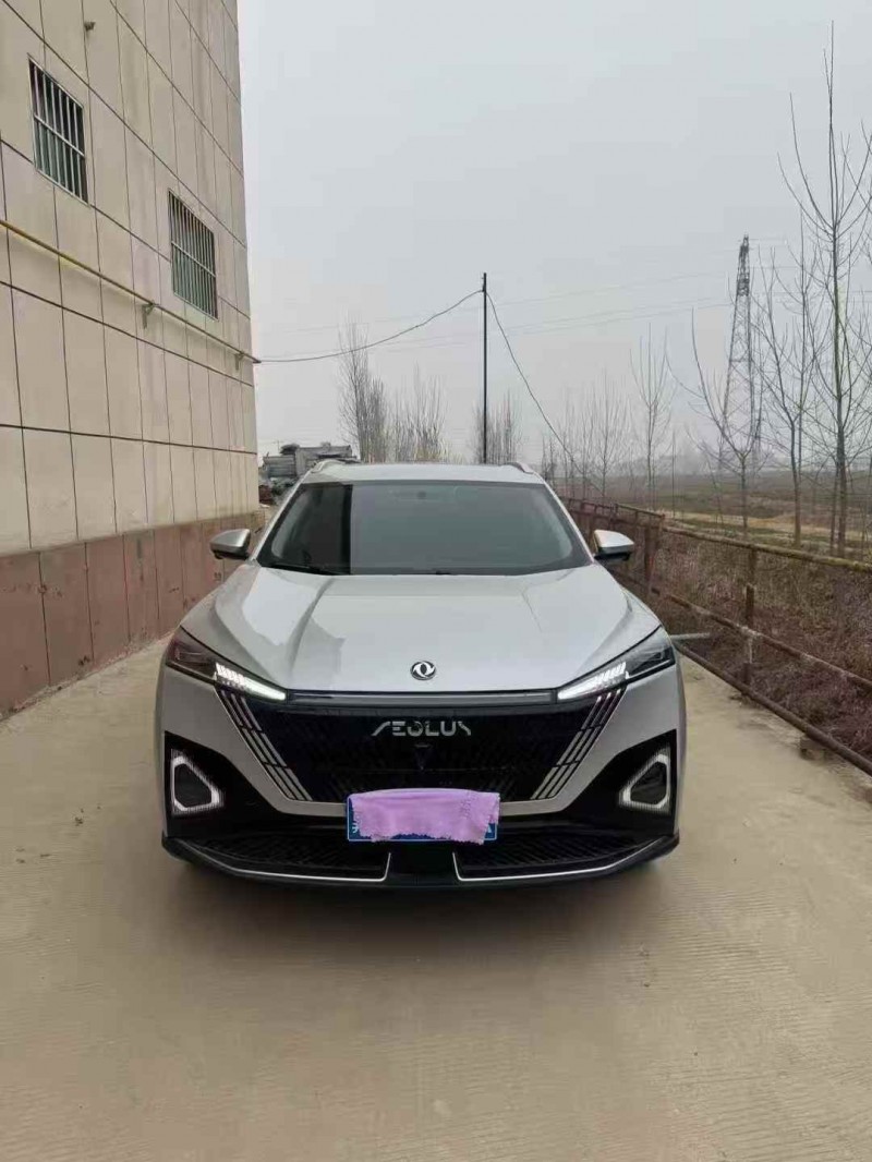 烟台24年东风风神1