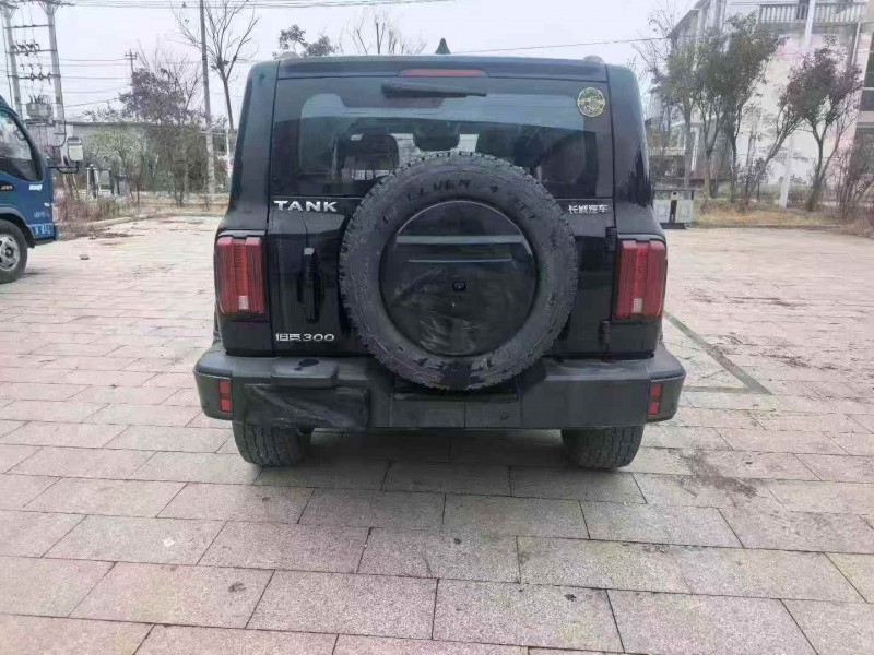 蚌埠22年长城汽车坦克9