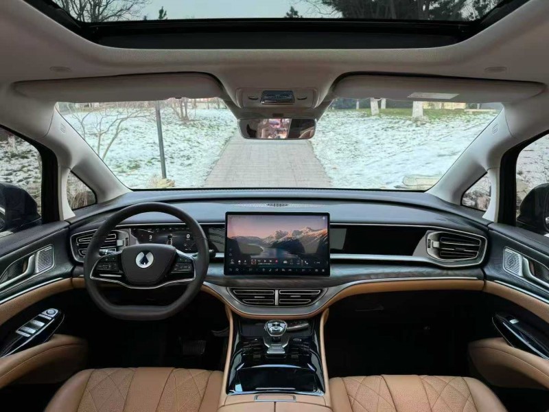 邢台24年腾势D95