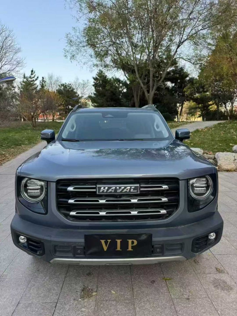 邢台23年哈弗大狗1