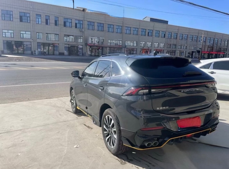 嘉兴23年东风风行6