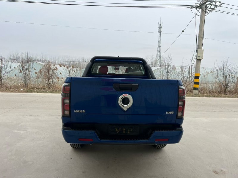 徐州24年长城汽车炮 皮卡9