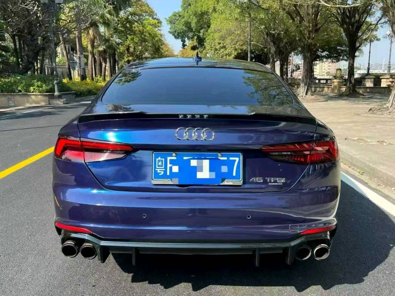 广州19年奥迪A57