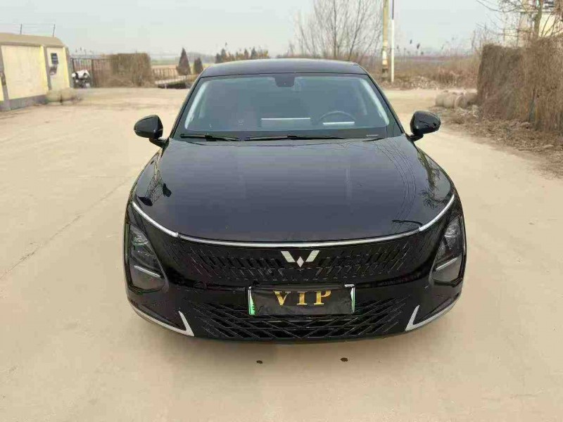 天津24年五菱汽车星光1