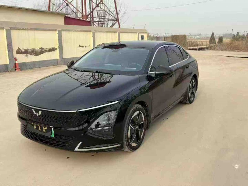 天津24年五菱汽车星光2