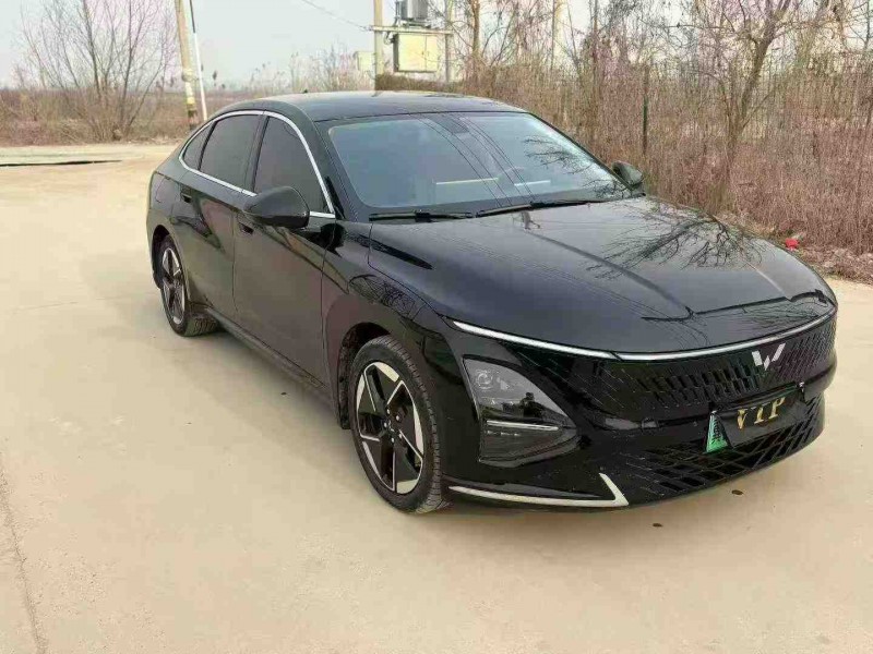 天津24年五菱汽车星光3