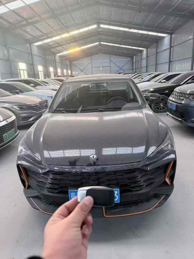 天津25年东风奕炫1