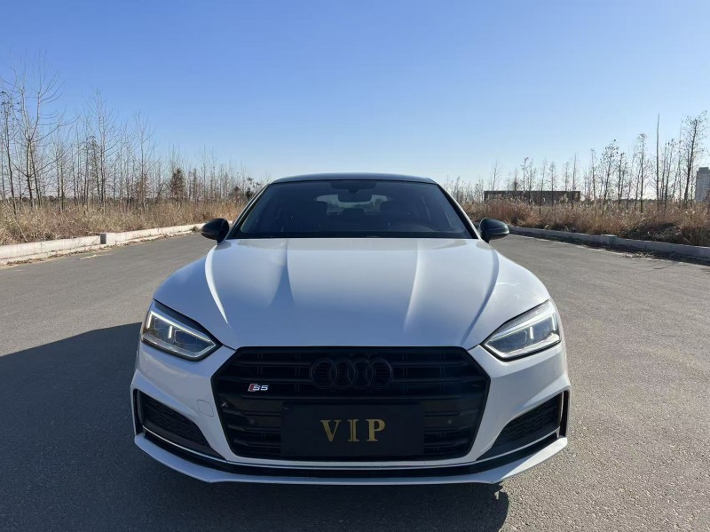 盐城19年奥迪A51