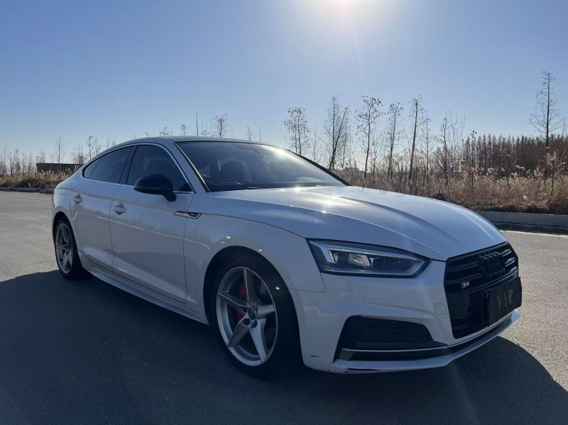 盐城19年奥迪A52