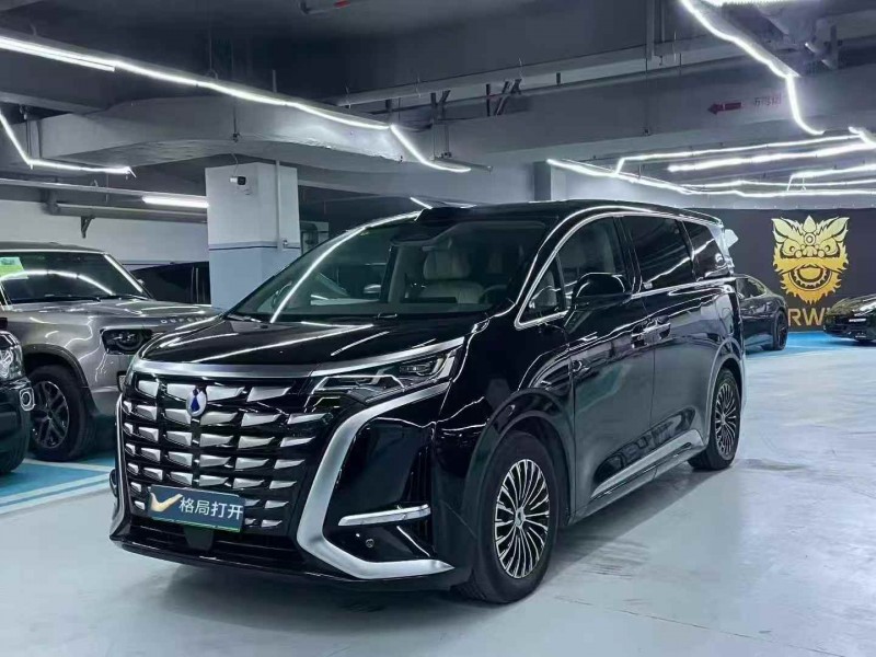 广州23年腾势D93