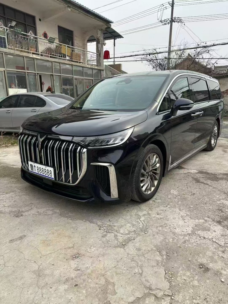 菏泽25年岚图汽车梦想家2