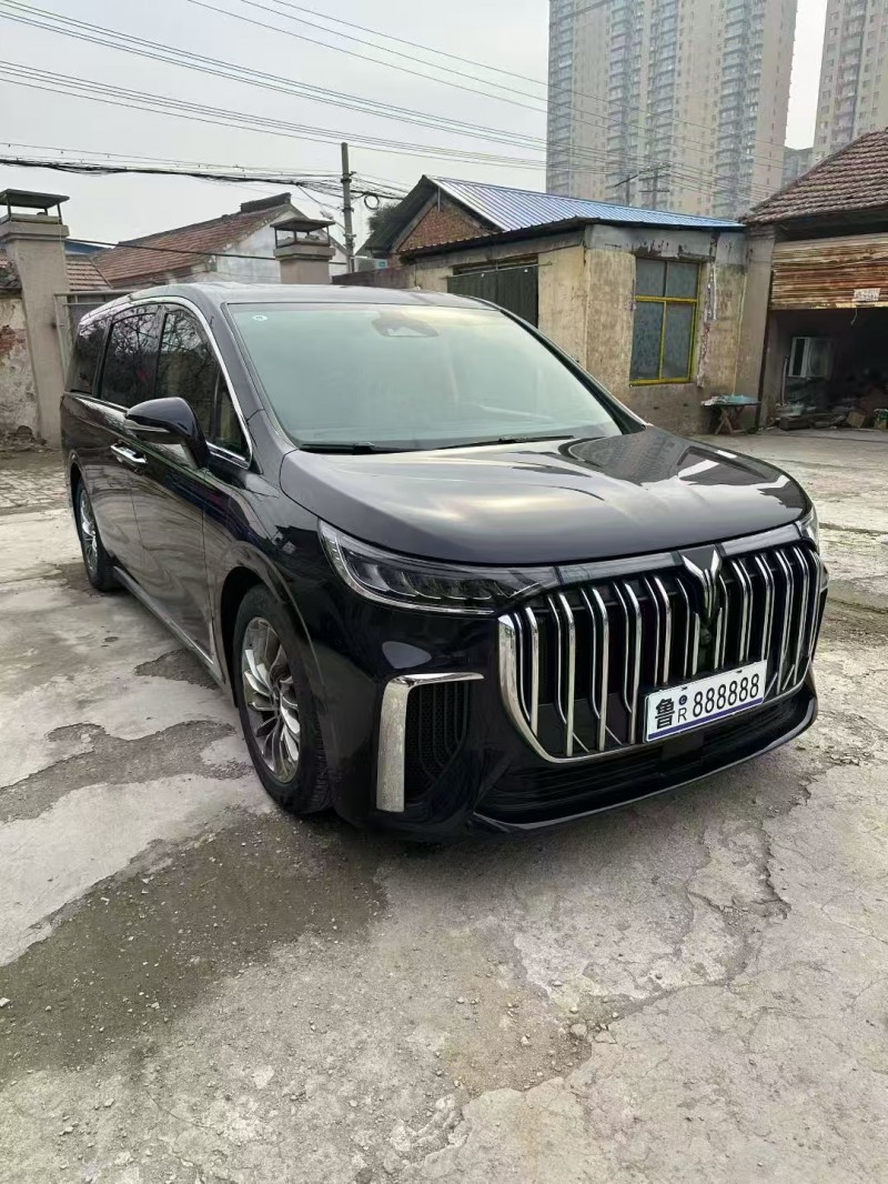 菏泽25年岚图汽车梦想家3