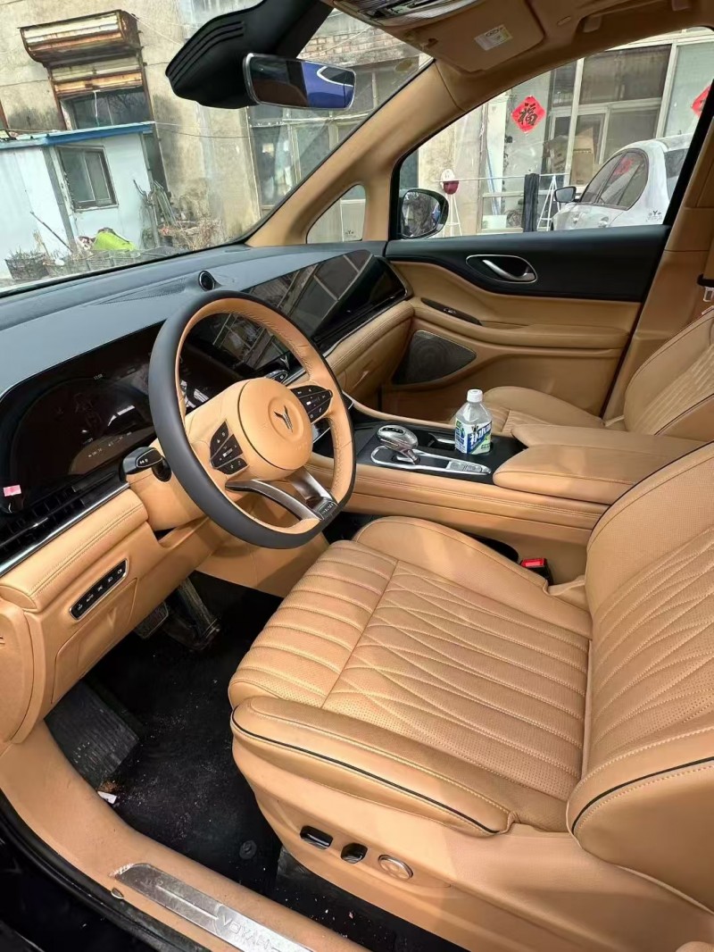 菏泽25年岚图汽车梦想家6