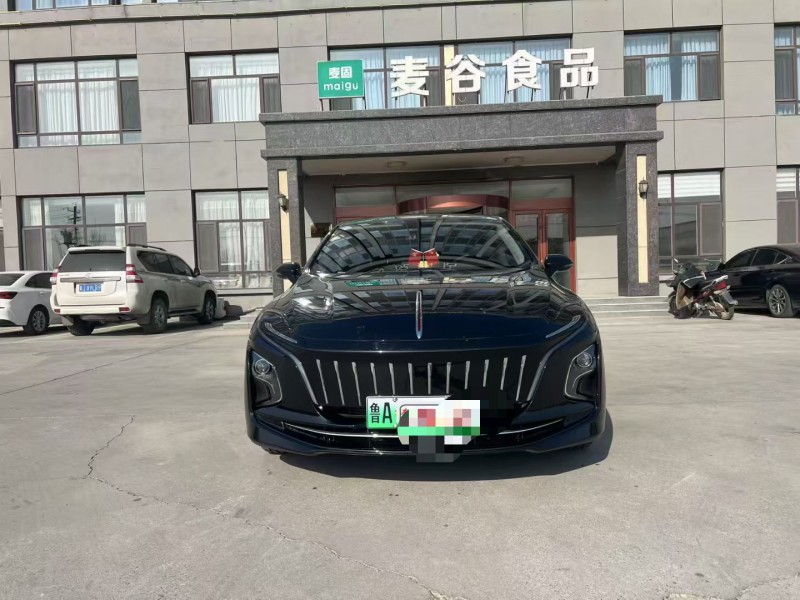 沧州24年红旗E-QM51