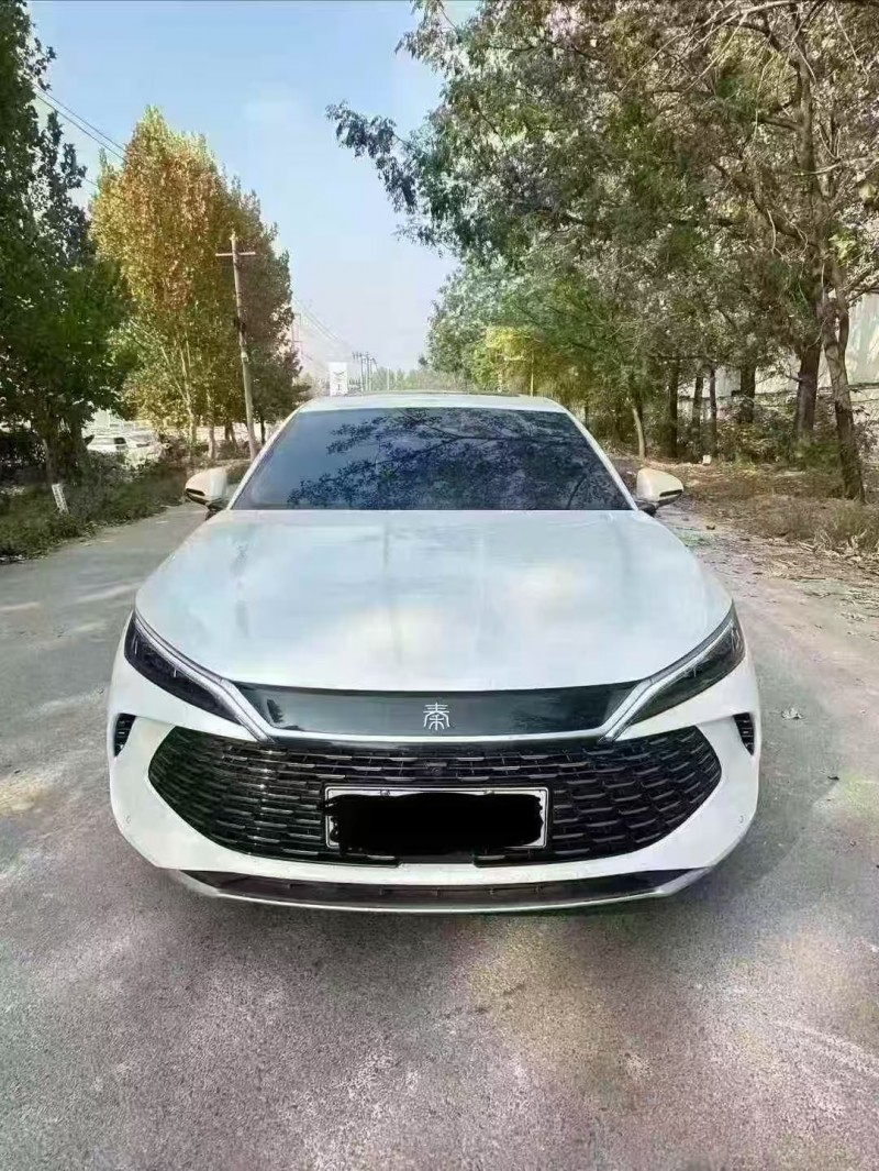 菏泽25年比亚迪秦1