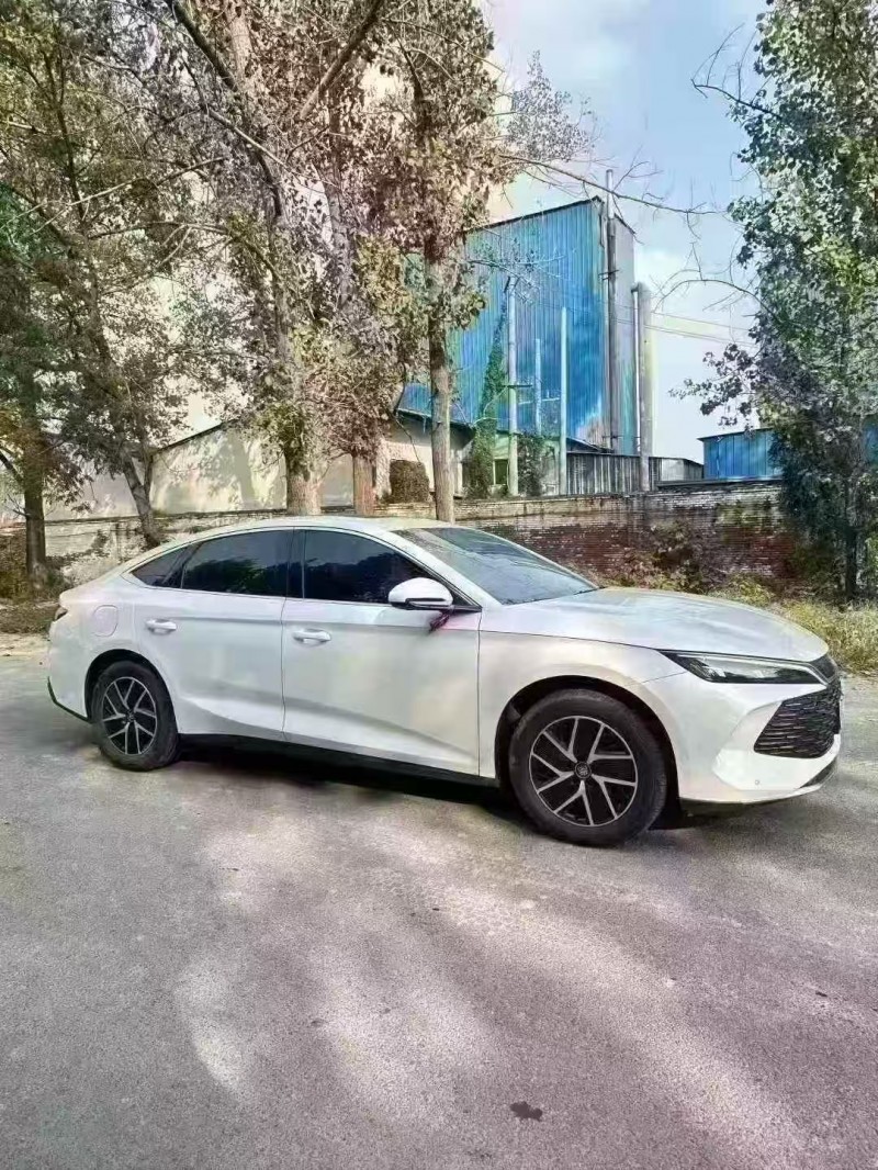 菏泽25年比亚迪秦3