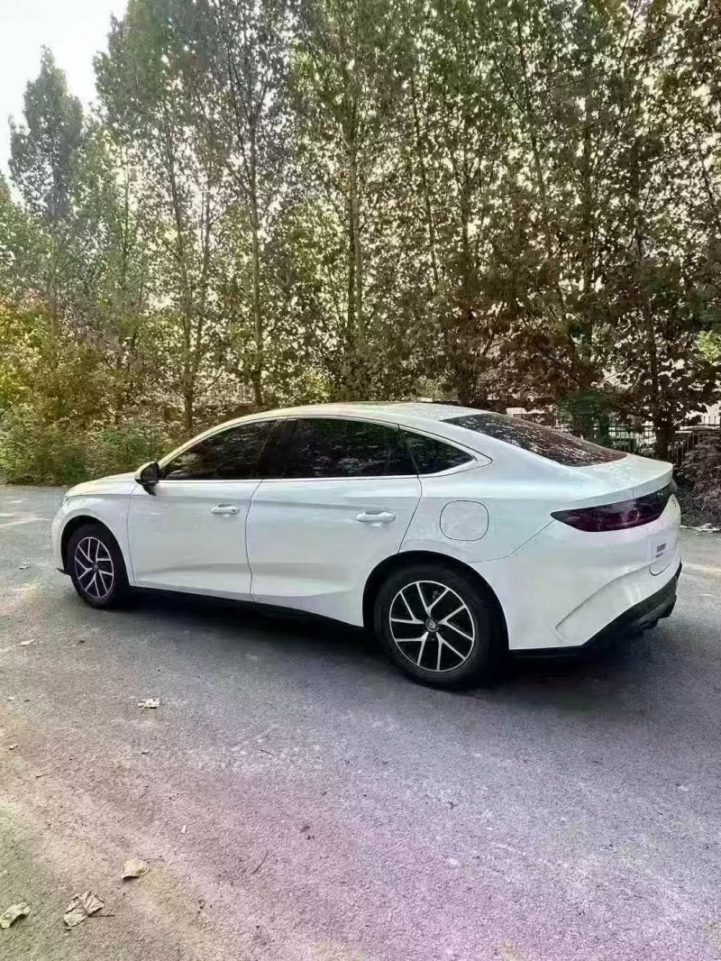 菏泽25年比亚迪秦7