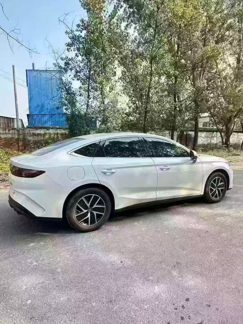 菏泽25年比亚迪秦8