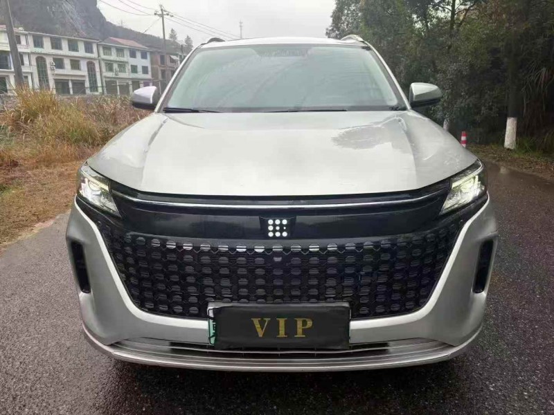 九江24年东风蓝电E51