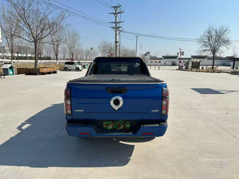 徐州23年长城汽车炮 皮卡9