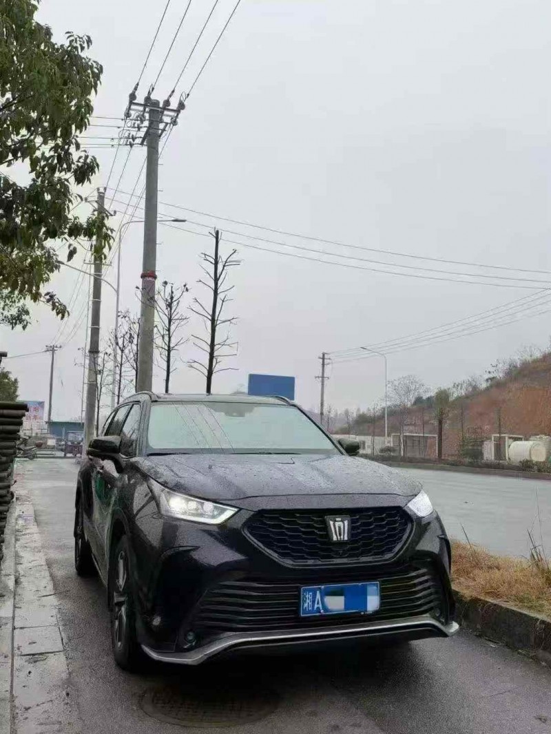 张家界24年丰田锐放2