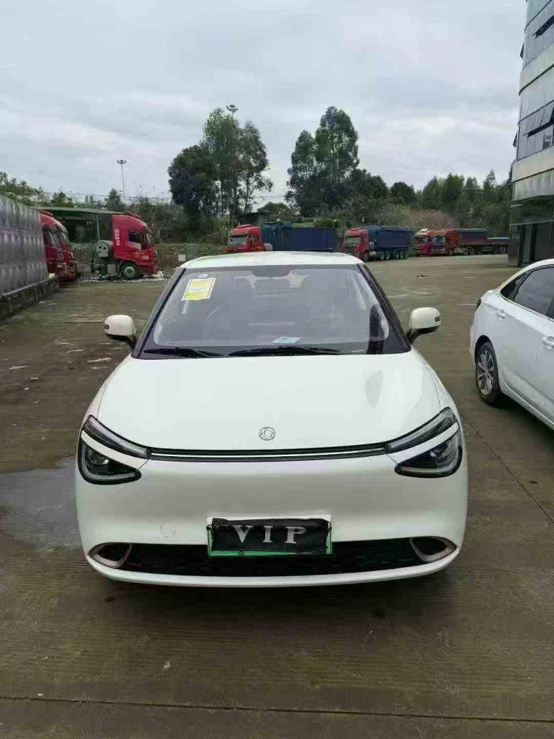 遂宁25年东风纳米1