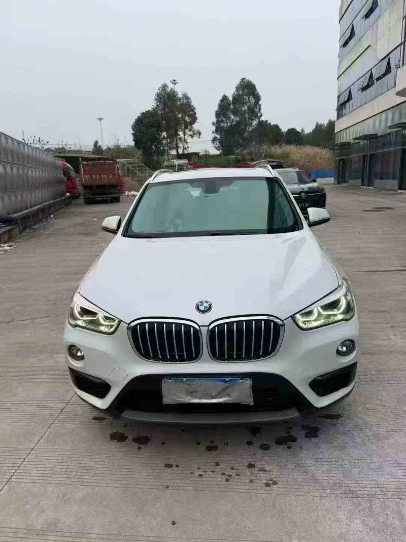 乐山17年宝马X11