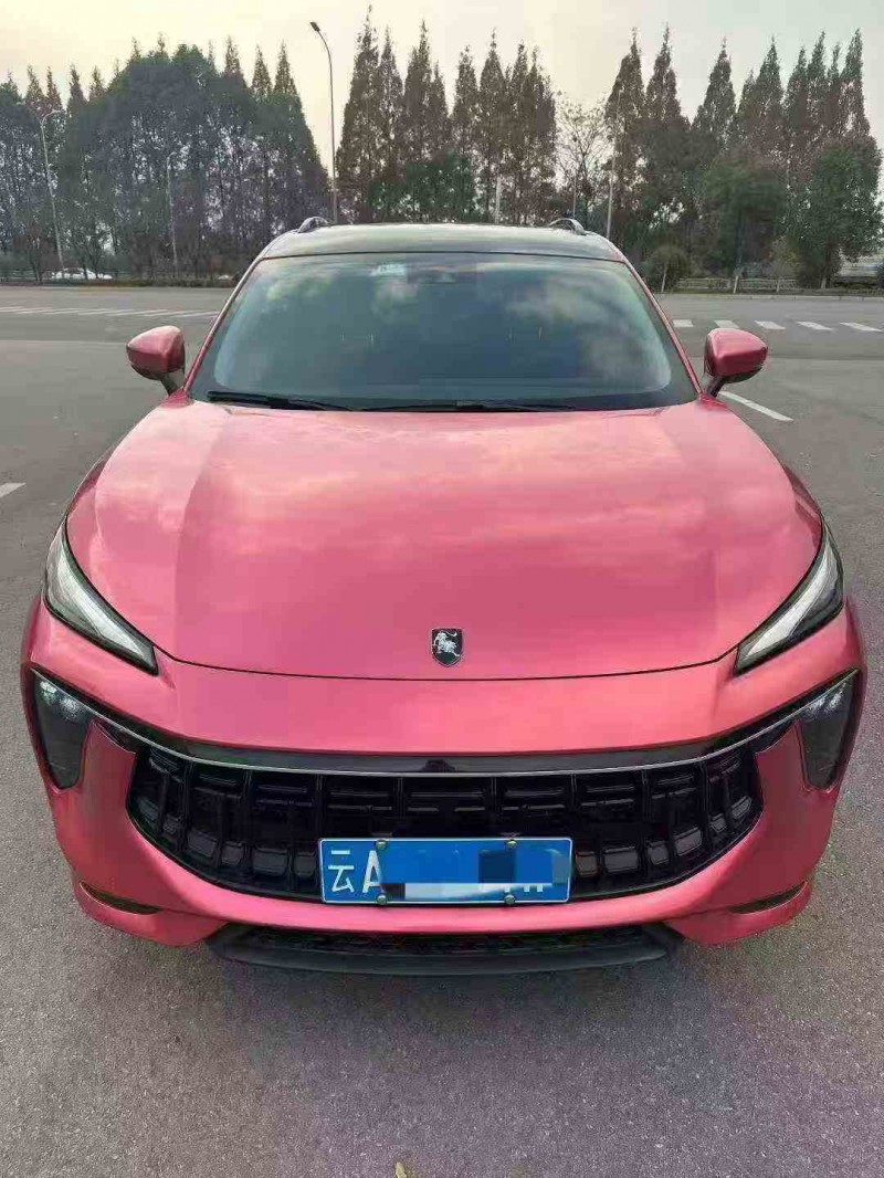 遂宁24年东风风行1