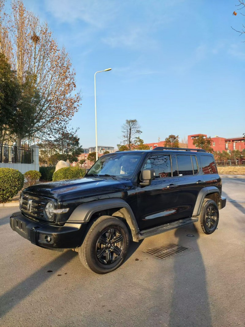 济源23年长城汽车坦克2