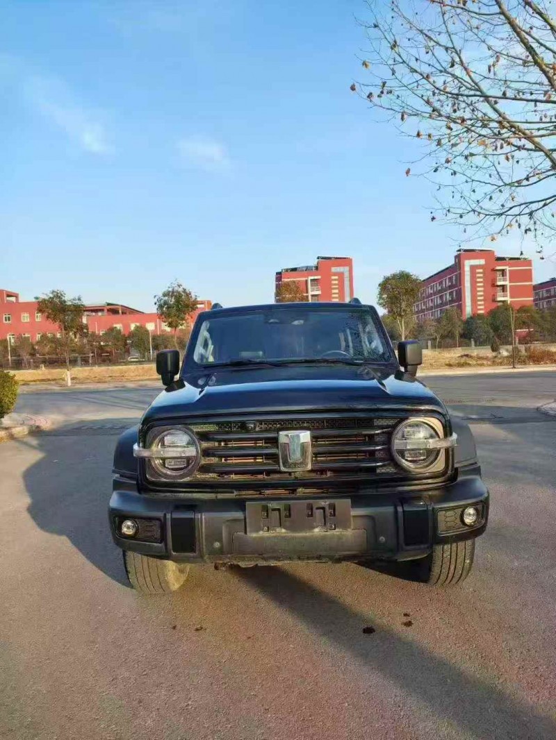 平顶山23年长城汽车坦克1