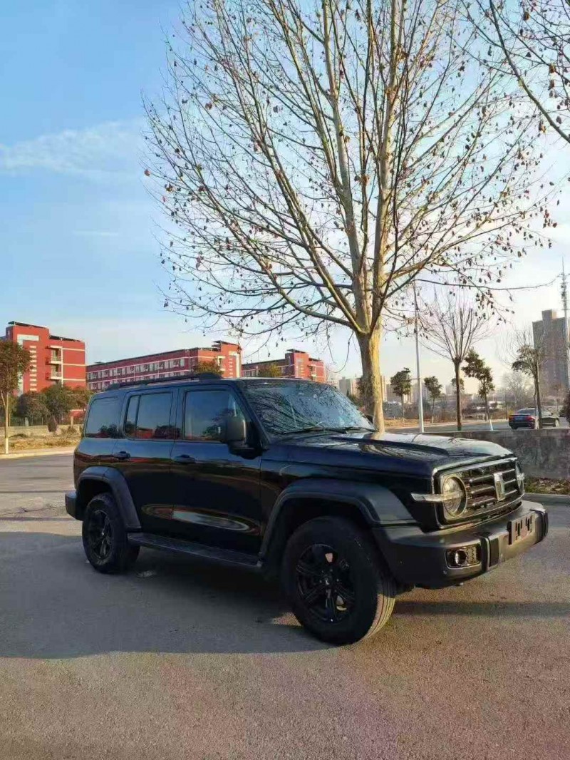 平顶山23年长城汽车坦克2