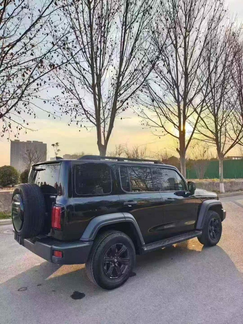 平顶山23年长城汽车坦克8