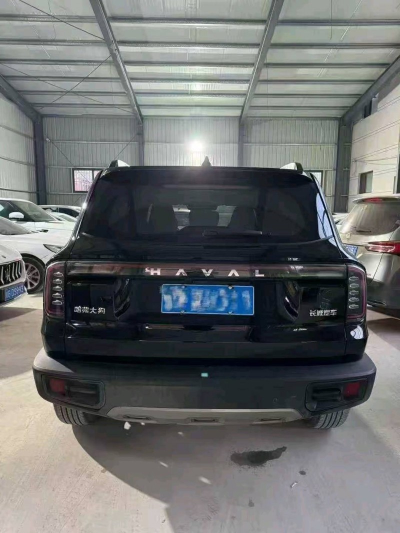 菏泽25年哈弗大狗6