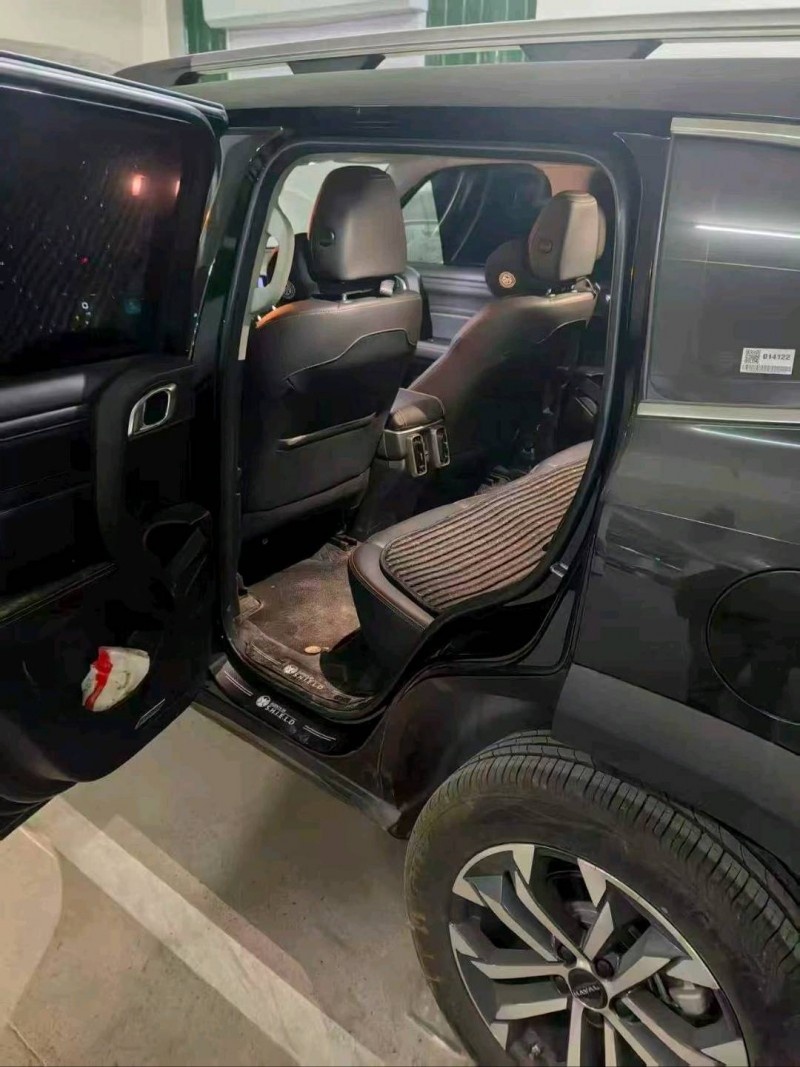 武汉24年哈弗大狗2