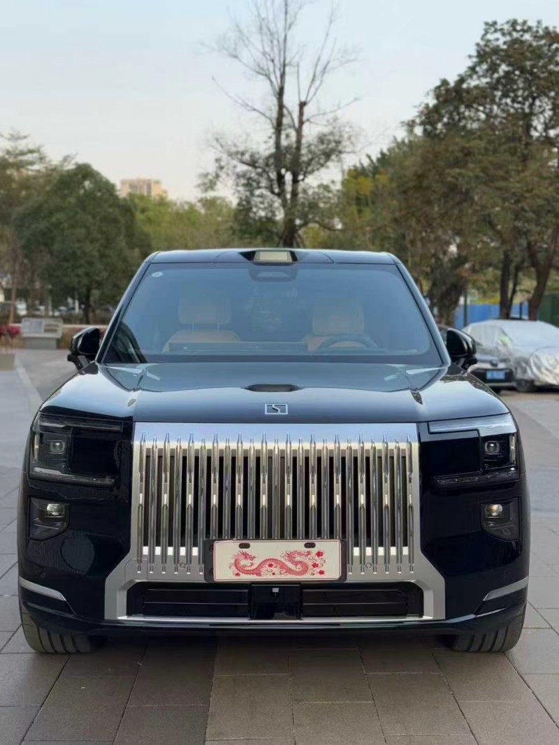 佛山26年极氪汽车9X1